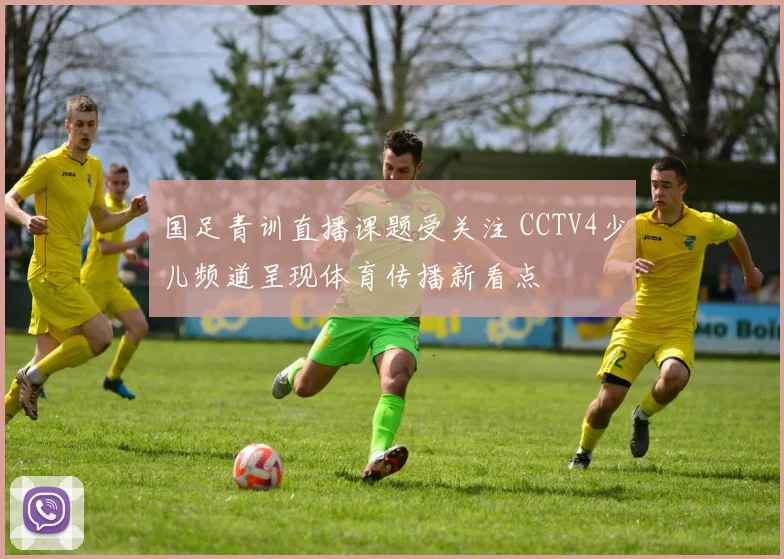 国足青训直播课题受关注 CCTV4少儿频道呈现体育传播新看点
