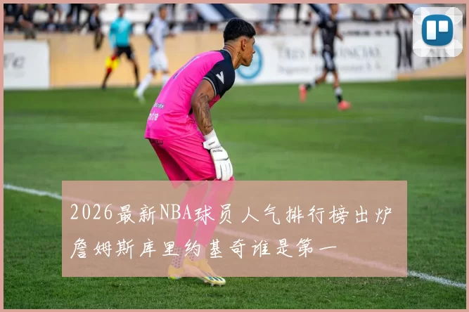 2026最新NBA球员人气排行榜出炉 詹姆斯库里约基奇谁是第一