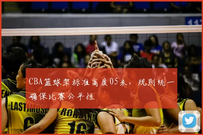 CBA篮球架标准高度05米,规则统一确保比赛公平性