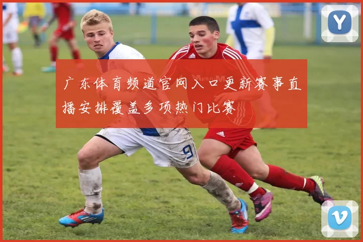 广东体育频道官网入口更新赛事直播安排覆盖多项热门比赛